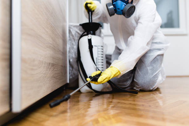 Best Pest Prevention Services  in Cairo, NE