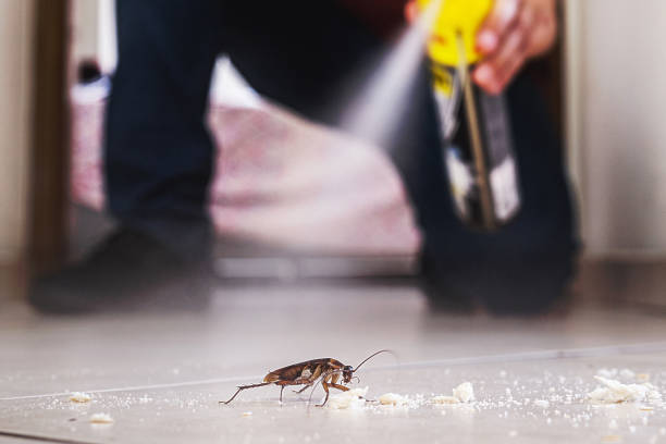 Professional Pest Control in Cairo, NE