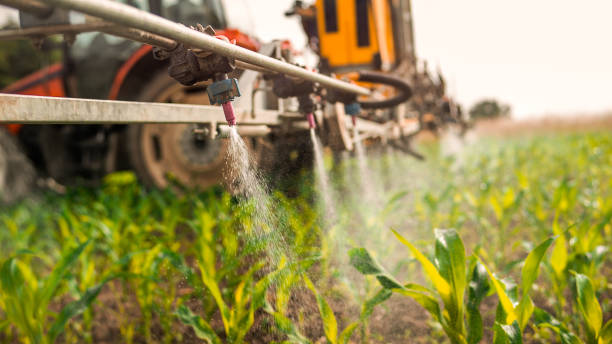 Professional Pest Control in Cairo, NE